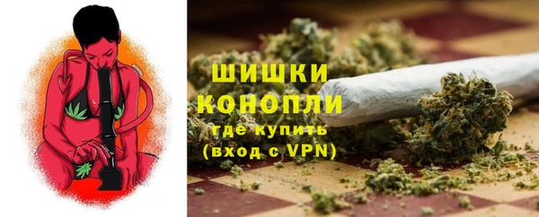 молекула духа Магас